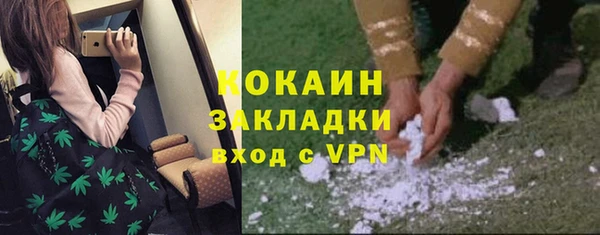 ПСИЛОЦИБИНОВЫЕ ГРИБЫ Краснотурьинск